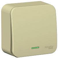 Выключатель с подсветкой накладной Systeme Electric Blanca 1-кл. бежевый картинка